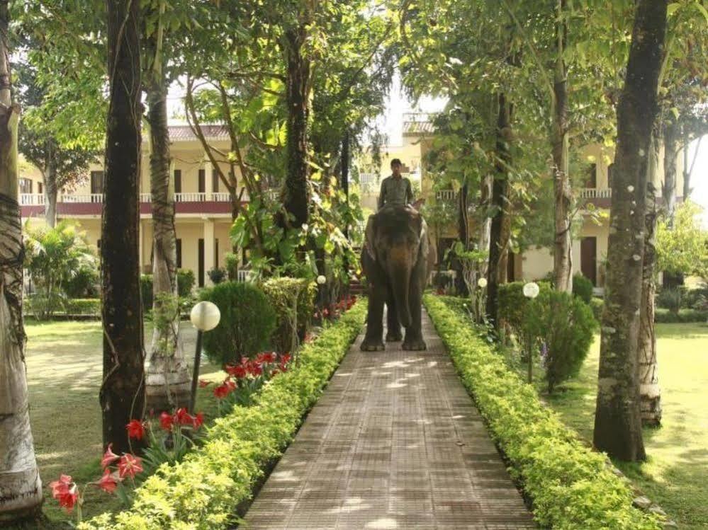 Hotel Rainforest سوراها المظهر الخارجي الصورة