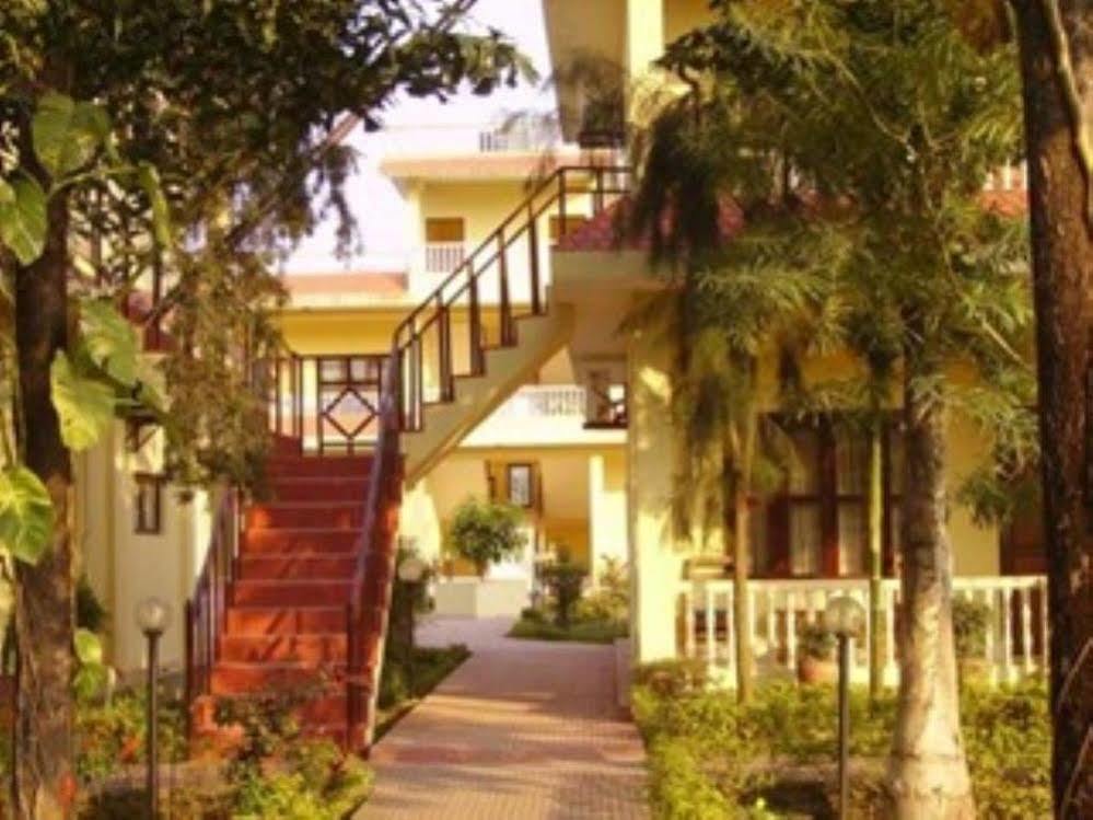 Hotel Rainforest سوراها المظهر الخارجي الصورة