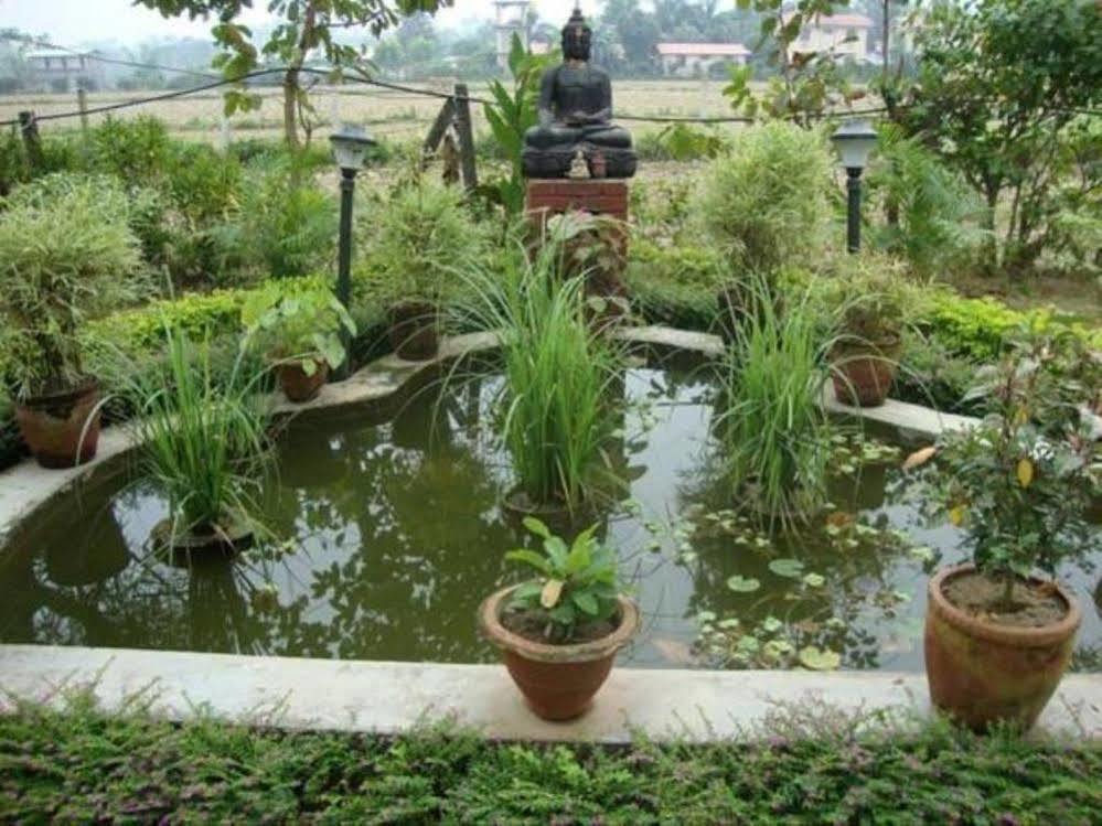 Hotel Rainforest سوراها المظهر الخارجي الصورة