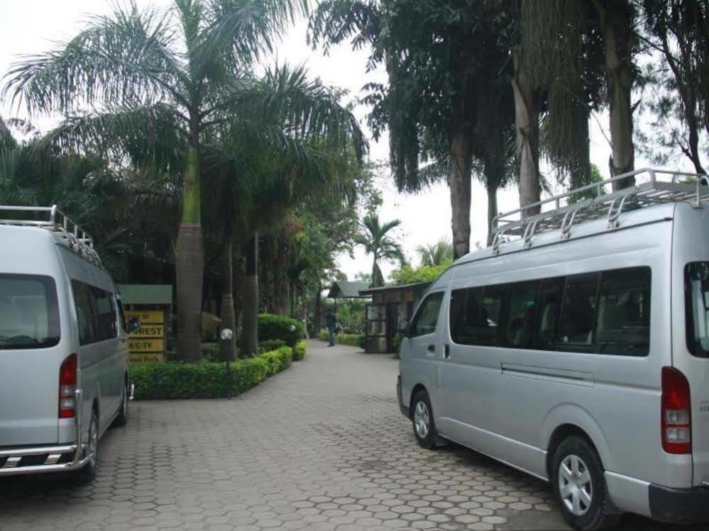 Hotel Rainforest سوراها المظهر الخارجي الصورة